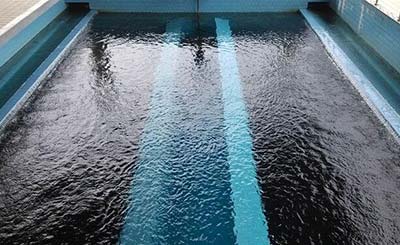 ����̿�^�V���A̎��